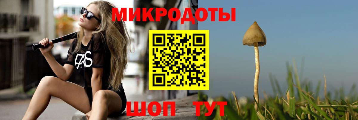 Псилоцибиновые грибы прущие грибы Стрежевой